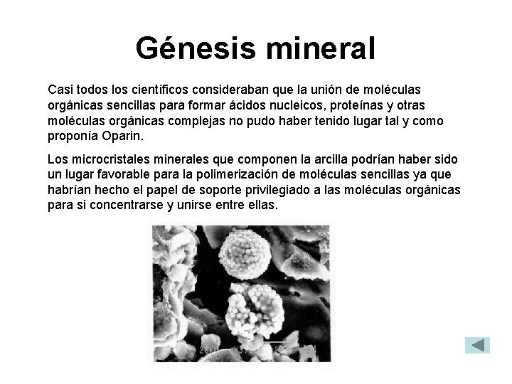 Génesis mineral Casi todos los científicos consideraban que la unión de moléculas orgánicas sencillas