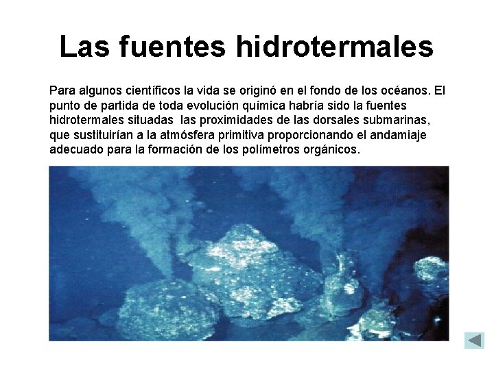 Las fuentes hidrotermales Para algunos científicos la vida se originó en el fondo de