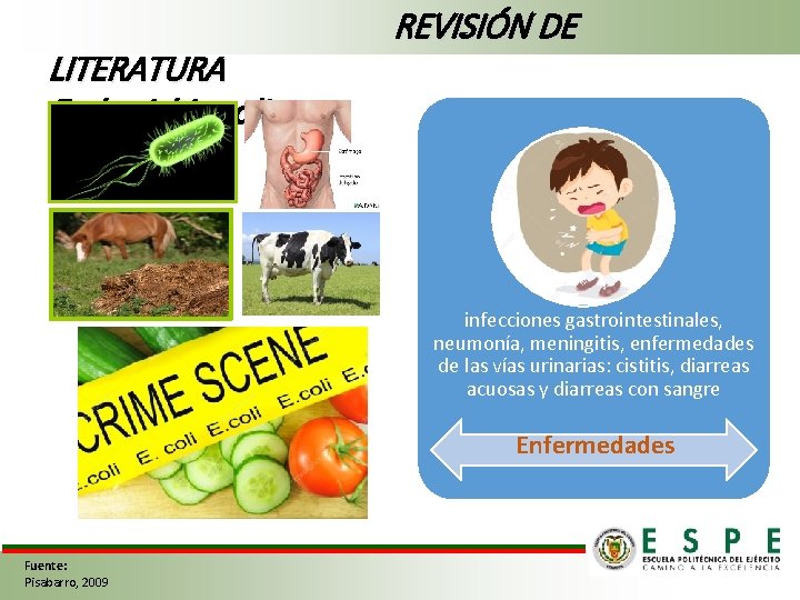 LITERATURA Escherichia coli REVISIÓN DE infecciones gastrointestinales, neumonía, meningitis, enfermedades de las vías urinarias: