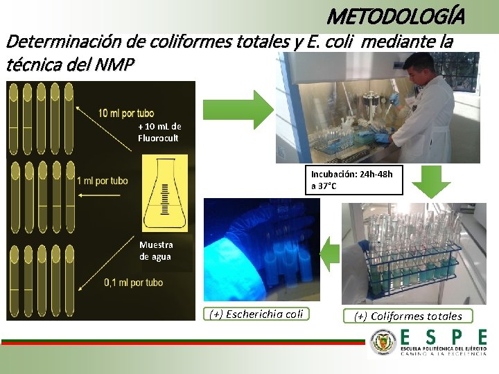 METODOLOGÍA Determinación de coliformes totales y E. coli mediante la técnica del NMP +