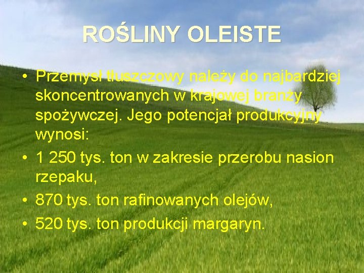 ROŚLINY OLEISTE • Przemysł tłuszczowy należy do najbardziej skoncentrowanych w krajowej branży spożywczej. Jego