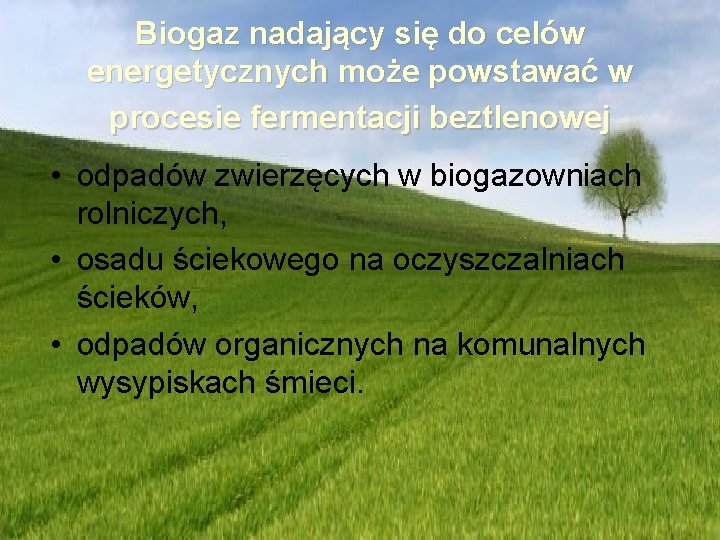 Biogaz nadający się do celów energetycznych może powstawać w procesie fermentacji beztlenowej • odpadów