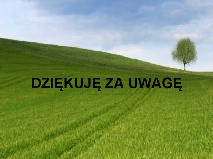 DZIĘKUJĘ ZA UWAGĘ 