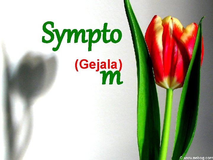 Sympto m (Gejala) 