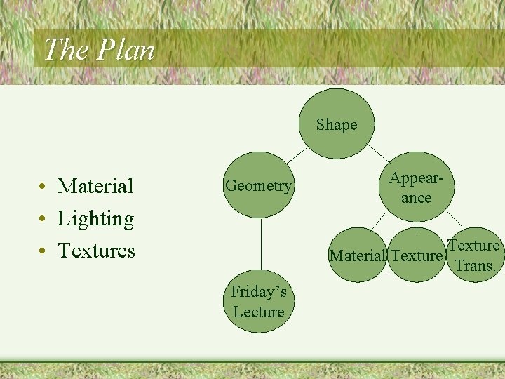 The Plan Shape • Material • Lighting • Textures Geometry Appearance Material Texture Friday’s