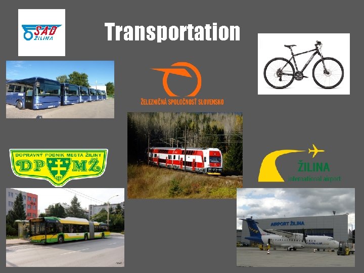 Transportation 