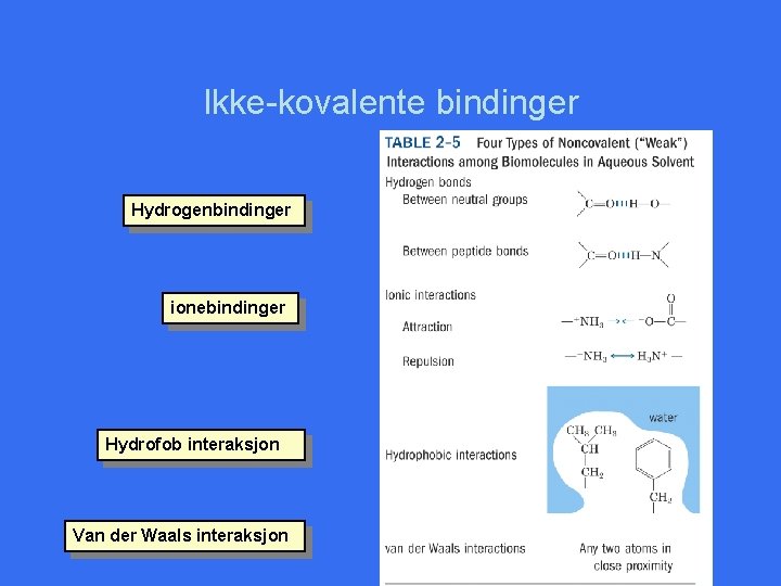 Ikke-kovalente bindinger Hydrogenbindinger ionebindinger Hydrofob interaksjon Van der Waals interaksjon 