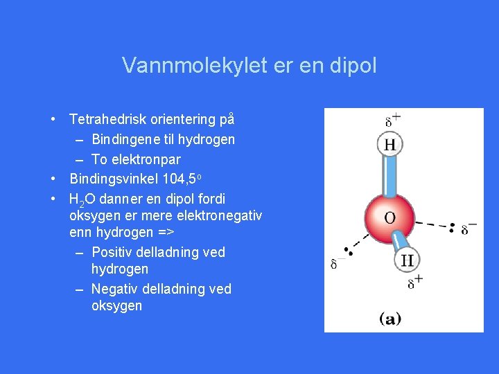 Vannmolekylet er en dipol • Tetrahedrisk orientering på – Bindingene til hydrogen – To