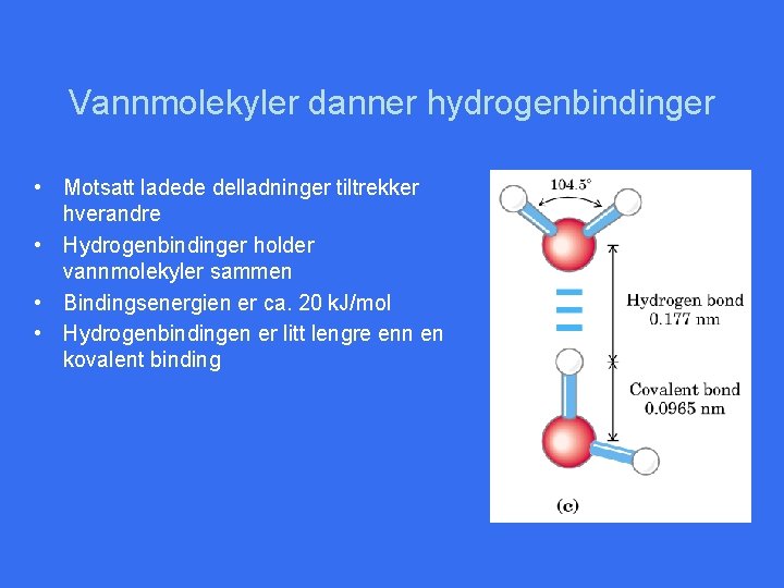 Vannmolekyler danner hydrogenbindinger • Motsatt ladede delladninger tiltrekker hverandre • Hydrogenbindinger holder vannmolekyler sammen