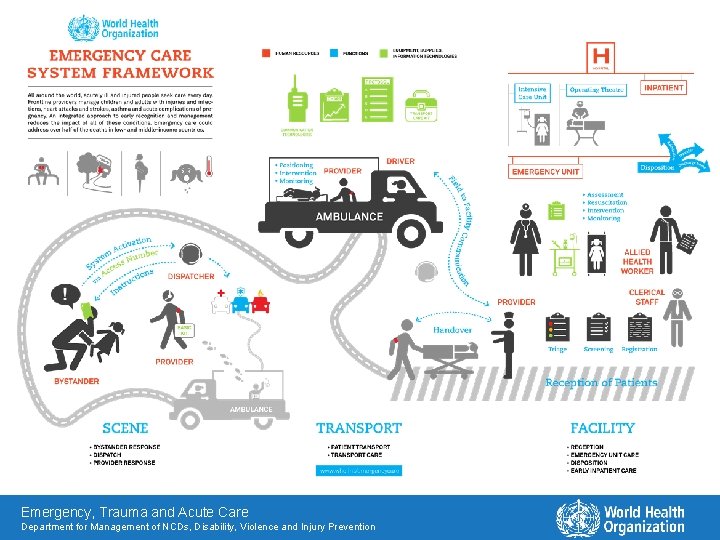 Emergency, Trauma and Acute Care Department for Management of NCDs, Disability, Violence and Injury