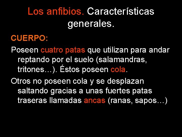 Los anfibios. Características generales. CUERPO: Poseen cuatro patas que utilizan para andar reptando por