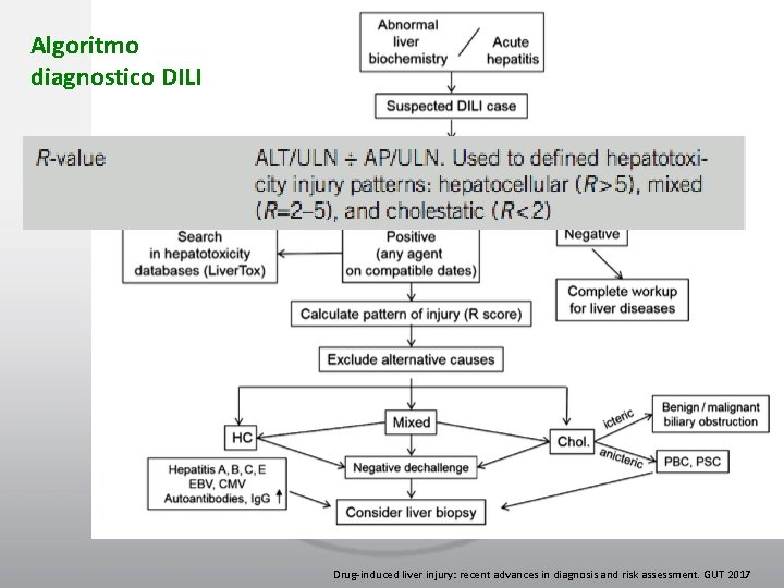 Algoritmo diagnostico DILI Drug-induced liver injury: recent advances in diagnosis and risk assessment. GUT