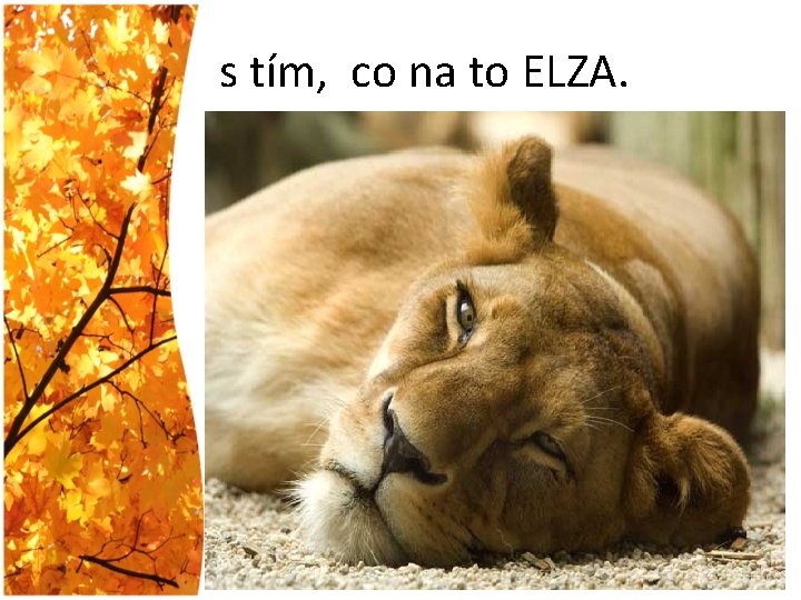 s tím, co na to ELZA. 