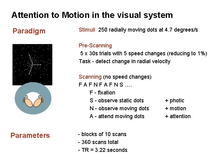 Attention to Motion in the visual system DCM – Attention to Motion Stimuli 250