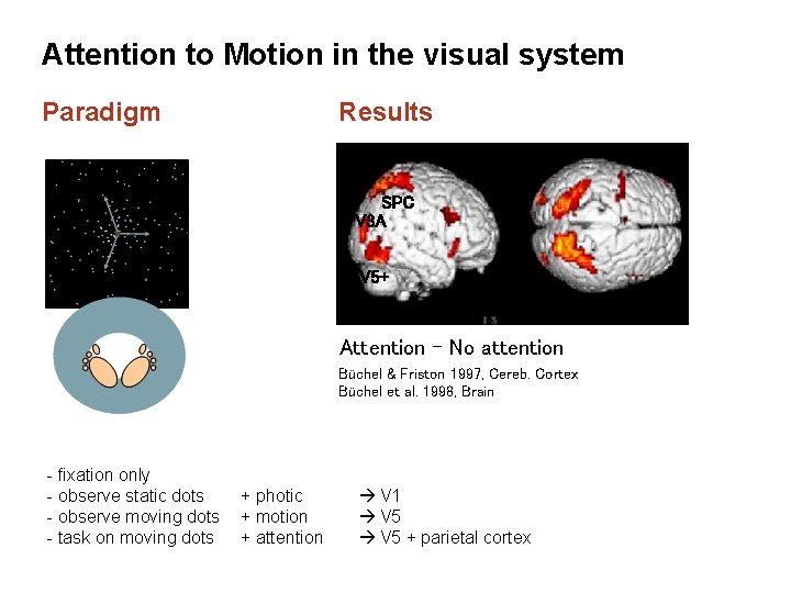 Attention to Motion in the visual system Paradigm Results SPC V 3 A V