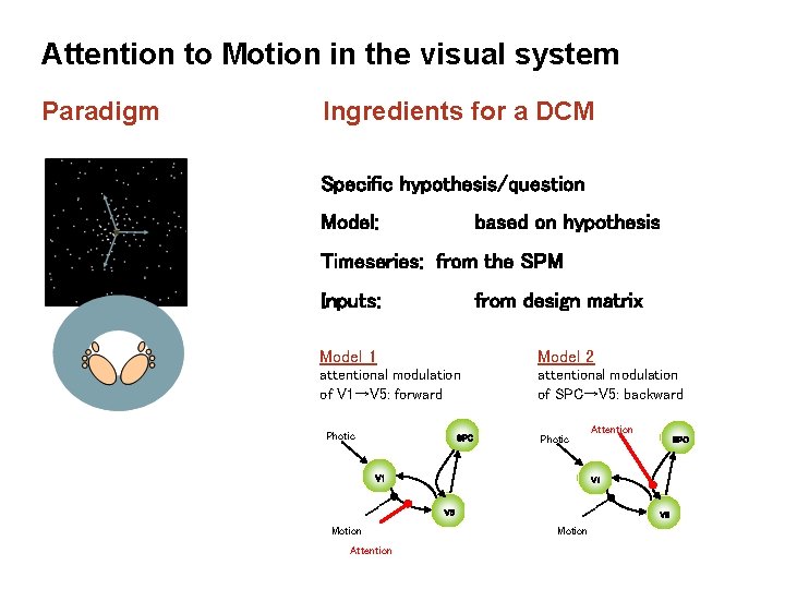 Attention to Motion in the visual system Paradigm Ingredients for a DCM Specific hypothesis/question