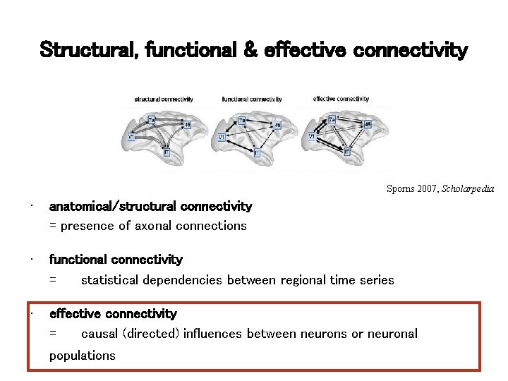 Structural, functional & effective connectivity Sporns 2007, Scholarpedia • anatomical/structural connectivity = presence of