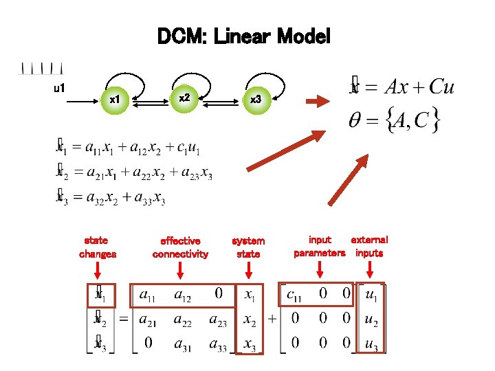 DCM: Linear Model u 1 x 1 state changes x 2 effective connectivity x