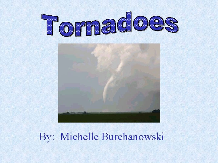 By: Michelle Burchanowski 