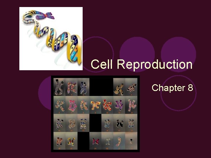 Cell Reproduction Chapter 8 