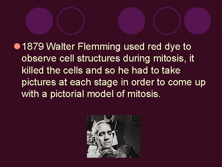 l 1879 Walter Flemming used red dye to observe cell structures during mitosis, it