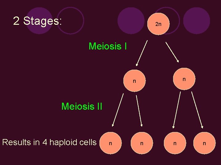 2 Stages: 2 n Meiosis I n n Meiosis II Results in 4 haploid