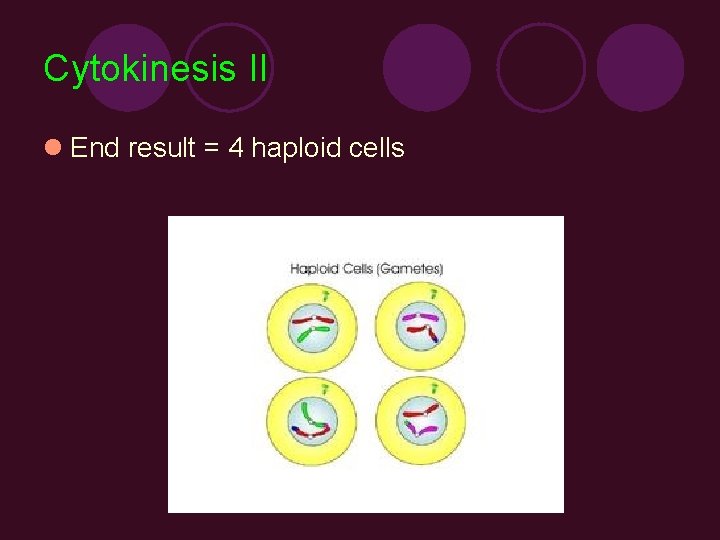 Cytokinesis II l End result = 4 haploid cells 