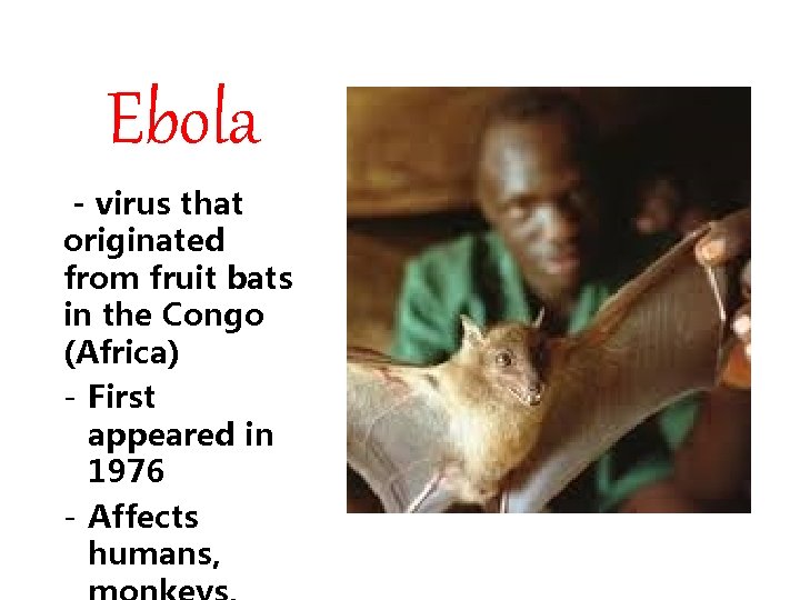 Ebola - virus that originated from fruit bats in the Congo (Africa) - First