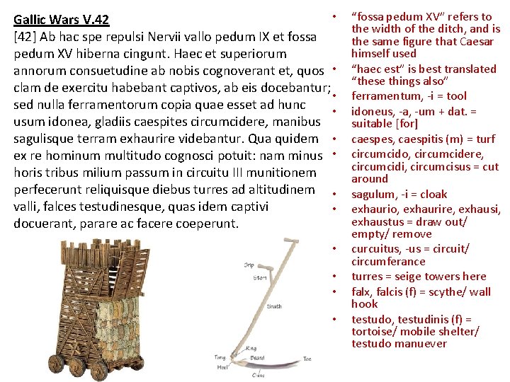  • Gallic Wars V. 42 [42] Ab hac spe repulsi Nervii vallo pedum