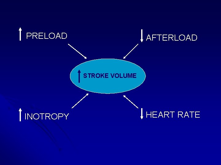 PRELOAD AFTERLOAD STROKE VOLUME INOTROPY HEART RATE PRELOAD AFTERLOAD STROKE VOLUME INOTROPY HEART RATE