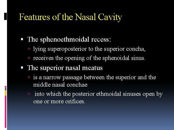 Features of the Nasal Cavity The sphenoethmoidal recess: lying superoposterior to the superior concha,