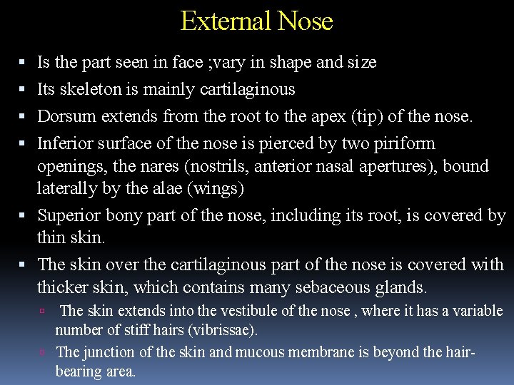 External Nose Is the part seen in face ; vary in shape and size