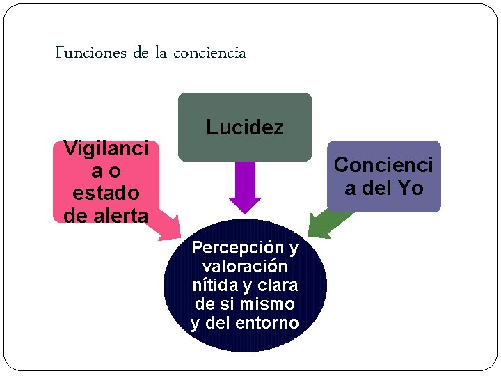 Funciones de la conciencia Vigilanci ao estado de alerta Lucidez Concienci a del Yo