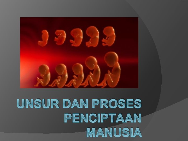 UNSUR DAN PROSES PENCIPTAAN MANUSIA 