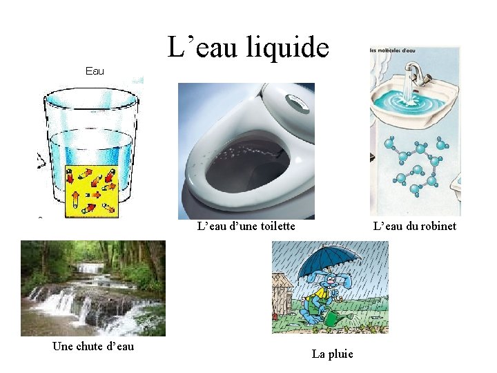 L’eau liquide L’eau d’une toilette Une chute d’eau L’eau du robinet La pluie 