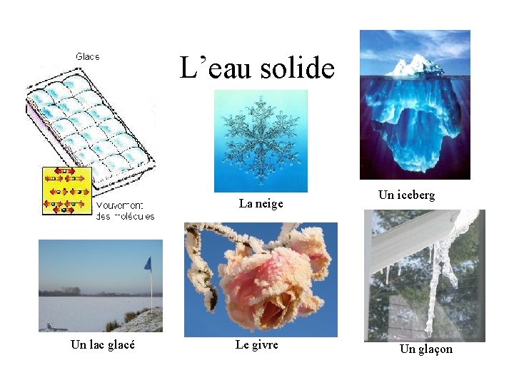 L’eau solide La neige Un lac glacé Le givre Un iceberg Un glaçon 