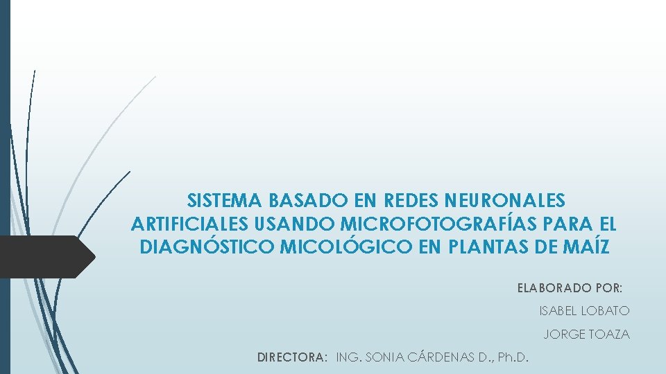 SISTEMA BASADO EN REDES NEURONALES ARTIFICIALES USANDO MICROFOTOGRAFÍAS PARA EL DIAGNÓSTICO MICOLÓGICO EN PLANTAS