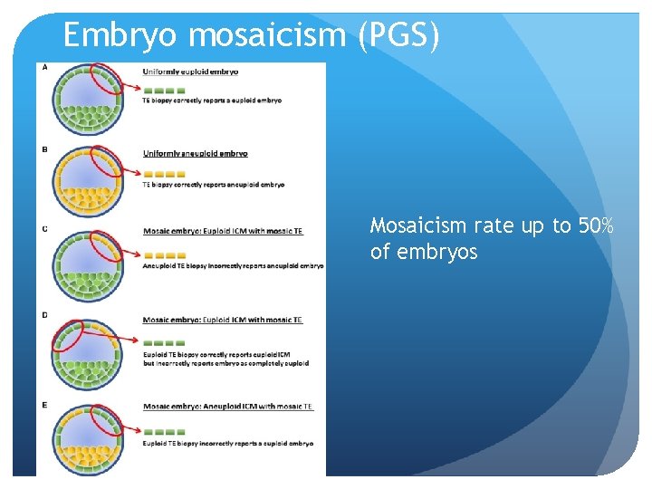 Embryo mosaicism (PGS) Mosaicism rate up to 50% of embryos 