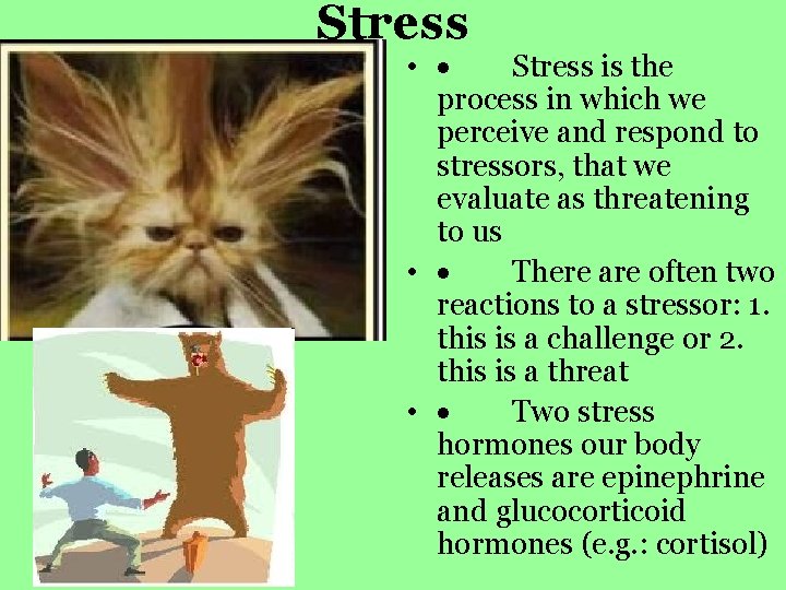 Stress • · Stress is the process in which we perceive and respond to