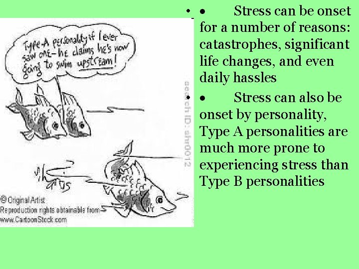  • · Stress can be onset for a number of reasons: catastrophes, significant