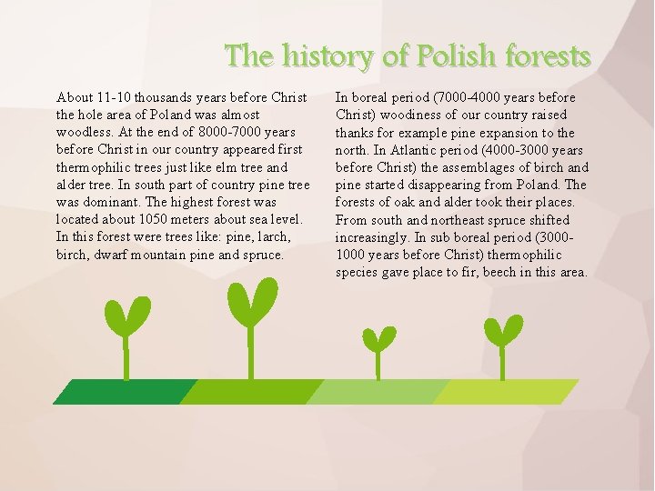The history of Polish forests About 11 -10 thousands years before Christ the hole
