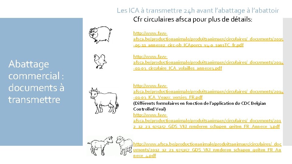 Les ICA à transmettre 24 h avant l’abattage à l’abattoir Cfr circulaires afsca pour