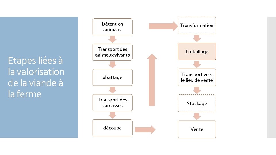 Etapes liées à la valorisation de la viande à la ferme Détention animaux Transformation