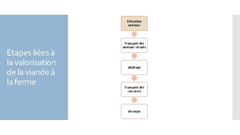 Détention animaux Etapes liées à la valorisation de la viande à la ferme Transport