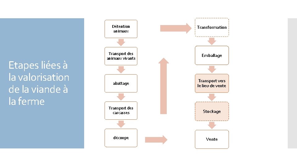 Etapes liées à la valorisation de la viande à la ferme Détention animaux Transformation