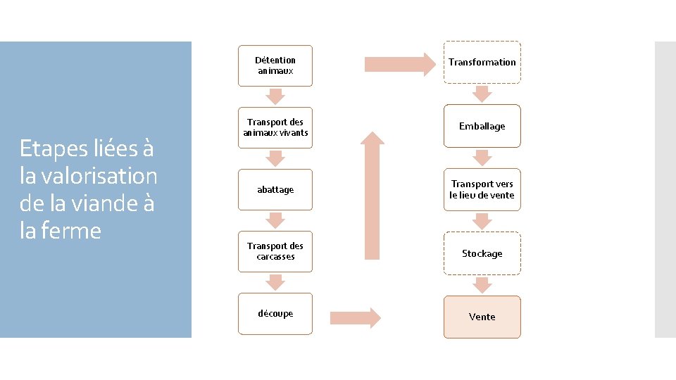 Etapes liées à la valorisation de la viande à la ferme Détention animaux Transformation