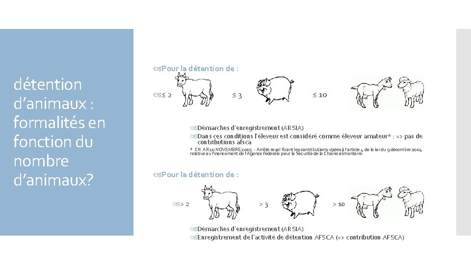 détention d’animaux : formalités en fonction du nombre d’animaux? Pour la détention de :