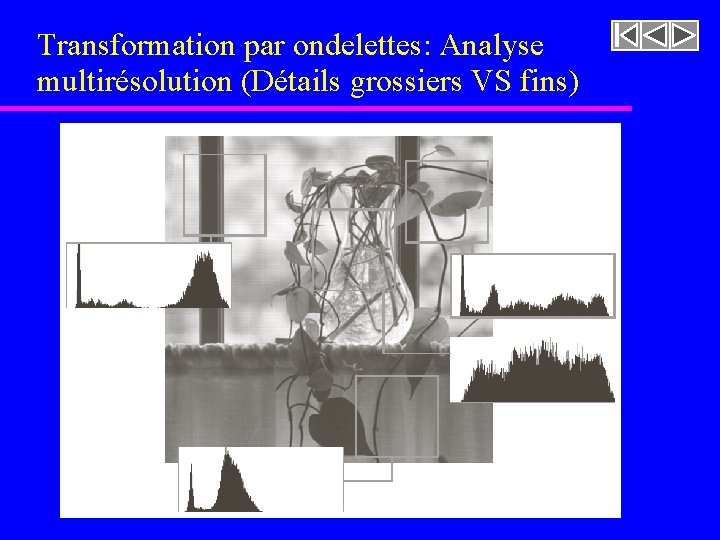 Transformation par ondelettes: Analyse multirésolution (Détails grossiers VS fins) Transformation par ondelettes: Analyse multirésolution (Détails grossiers VS fins)