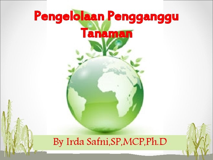 Pengelolaan Pengganggu Tanaman By Irda Safni, SP, MCP, Ph. D 