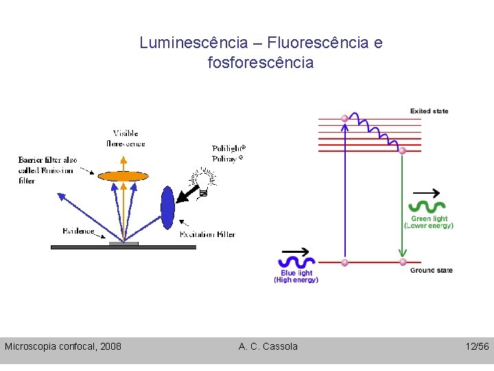 Luminescência – Fluorescência e fosforescência Microscopia confocal, 2008 A. C. Cassola 12/56 